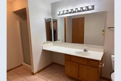 13902 S Cambridge Circle #13902, Plainfield, IL 60544 - Photo 17