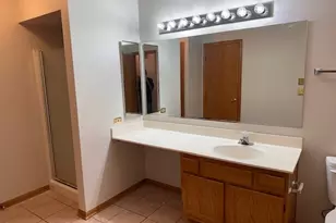 13902 S Cambridge Circle, Plainfield, IL 60544 - Photo 17