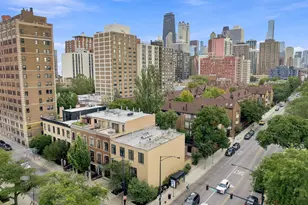 67 W Schiller St, Chicago, IL 60610 - Photo 37