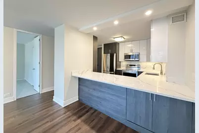 1030 N State Street #12K, Chicago, IL 60610 - Photo 3