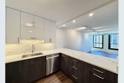 1030 N State Street #12K, Chicago, IL 60610 - Photo 9