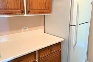 33 N Main St, Lombard, IL 60148 - Photo 11