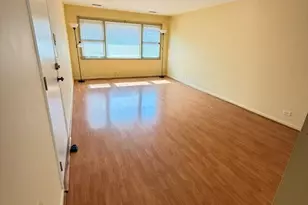 5636 W Goodman St, Chicago, IL 60630 - Photo 13