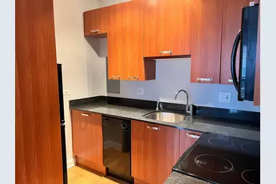 732 W Bittersweet Place #108, Chicago, IL 60613 - Photo 3