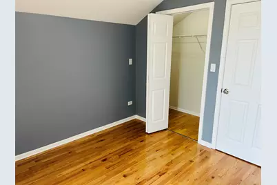 1918 S Louie Parkway, Chicago, IL 60616 - Photo 27