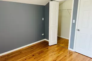 1918 S Louie Pkwy, Chicago, IL 60616 - Photo 27