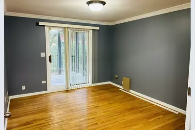 1918 S Louie Parkway, Chicago, IL 60616 - Photo 41