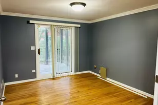 1918 S Louie Pkwy, Chicago, IL 60616 - Photo 41