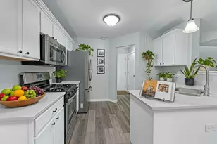 1011 N South Elgin Blvd, South Elgin, IL 60177 - Photo 3