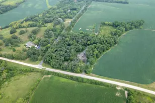916 W Town Line Rd, Leaf River, IL 61047 - Photo 69