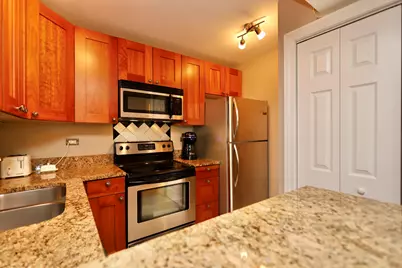10115 Old Orchard Court #303, Skokie, IL 60076 - Photo 15