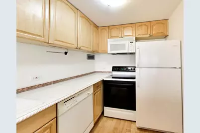 233 E Erie Street #1904, Chicago, IL 60611 - Photo 21