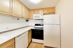 233 E Erie St, Chicago, IL 60611 - Photo 21