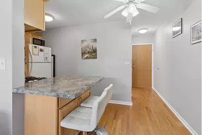4600 N Cumberland Avenue #205, Chicago, IL 60656 - Photo 5