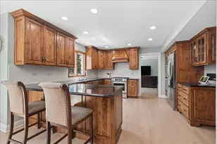 12119 Longmeadow Ln, Homer Glen, IL 60491 - Photo 25
