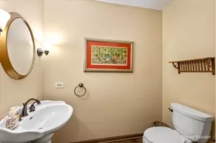 592 Partridge Dr, West Chicago, IL 60185 - Photo 17