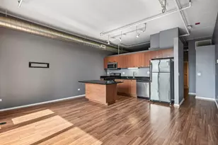 212 E Cullerton St, Chicago, IL 60616 - Photo 9