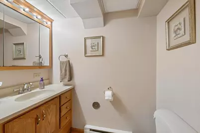 104 Sunset Strip, Joliet, IL 60435 - Photo 23
