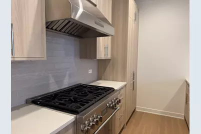 1356 W Chestnut Street #203, Chicago, IL 60642 - Photo 3