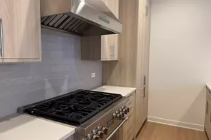 1356 W Chestnut St, Chicago, IL 60642 - Photo 3