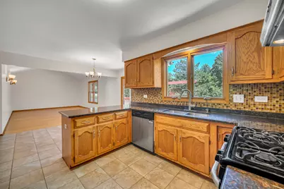 8885 Dryden Street, Woodridge, IL 60517 - Photo 15