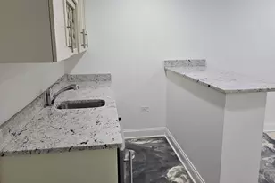 4420 S Berkeley Ave, Chicago, IL 60653 - Photo 41
