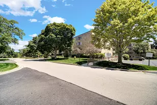 245 S Park Ln, Palatine, IL 60074 - Photo 27
