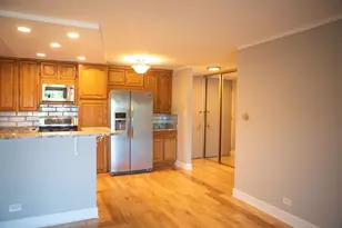 16 E Old Willow Rd, Prospect Heights, IL 60070 - Photo 37