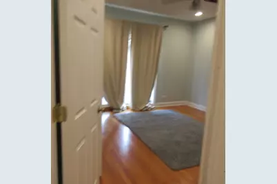 4417 S Calumet Avenue #2S, Chicago, IL 60653 - Photo 21