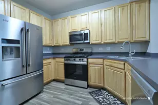 119 Harvest Ct, Volo, IL 60020 - Photo 9