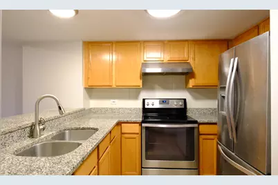 1828 S Wentworth Avenue #4B, Chicago, IL 60616 - Photo 3