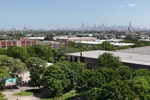 3914 N Mozart St, Chicago, IL 60618 - Photo 39