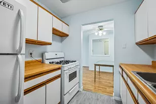 10041 S Walnut Terrace, Palos Hills, IL 60465 - Photo 9