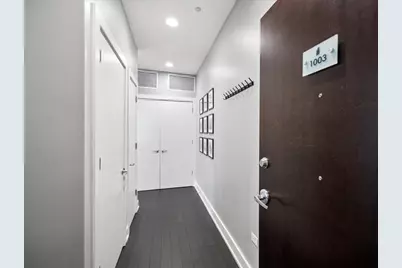110 W Superior Street #1003, Chicago, IL 60654 - Photo 3