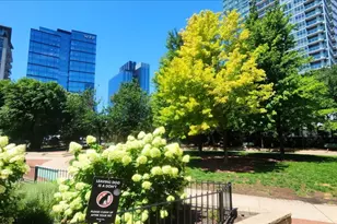 660 W Wayman St, Chicago, IL 60661 - Photo 29