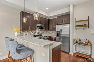 4737 N Damen Ave, Chicago, IL 60625 - Photo 11