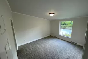290 Friendship Loop, Orangeville, IL 62939 - Photo 11