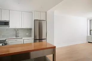 1460 N Sandburg Terrace, Chicago, IL 60610 - Photo 17