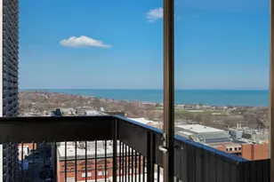 1460 N Sandburg Terrace, Chicago, IL 60610 - Photo 13