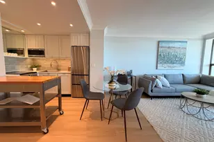 1460 N Sandburg Terrace, Chicago, IL 60610 - Photo 11