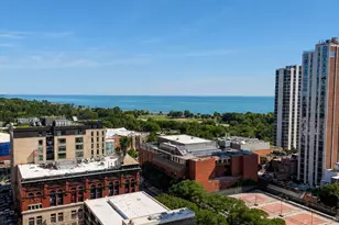 1460 N Sandburg Terrace, Chicago, IL 60610 - Photo 31