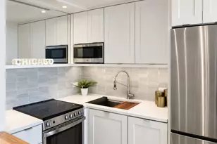 1460 N Sandburg Terrace, Chicago, IL 60610 - Photo 17