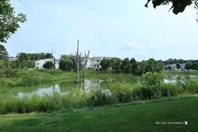 106 Terra Firma Lane, Volo, IL 60020 - Photo 23