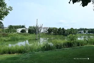 106 Terra Firma Ln, Volo, IL 60020 - Photo 23