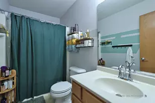 106 Terra Firma Ln, Volo, IL 60020 - Photo 13