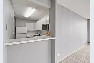 440 N Wabash Avenue #3204, Chicago, IL 60611 - Photo 5