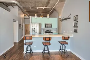1151 W 15th St, Chicago, IL 60608 - Photo 19