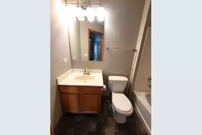 3348 Cameron Drive, Elgin, IL 60124 - Photo 25