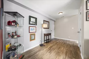 2517 Emily Ln, Elgin, IL 60124 - Photo 17