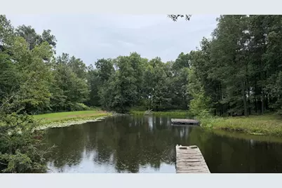 690 Ganntown Lane, Grantsburg, IL 62943 - Photo 29